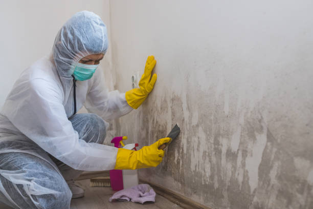 Asbestos and Lead Testing During Mold Inspection in Dubuque, IA